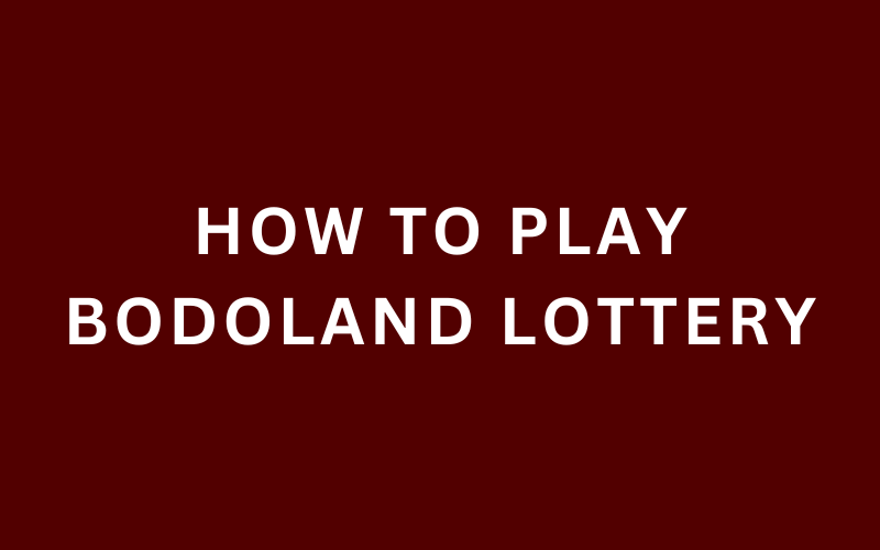 how to play bodoland lottery