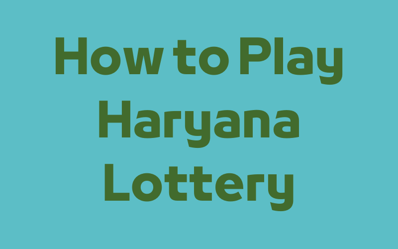 how to play haryana lottery