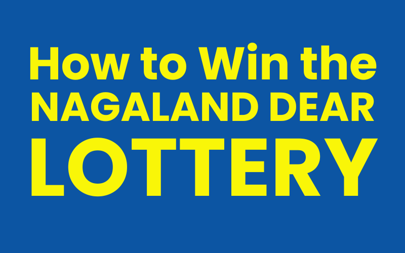 nagaland dear lottery